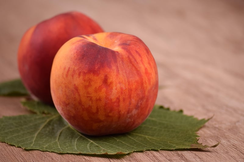 Nebula Nectarine Salad